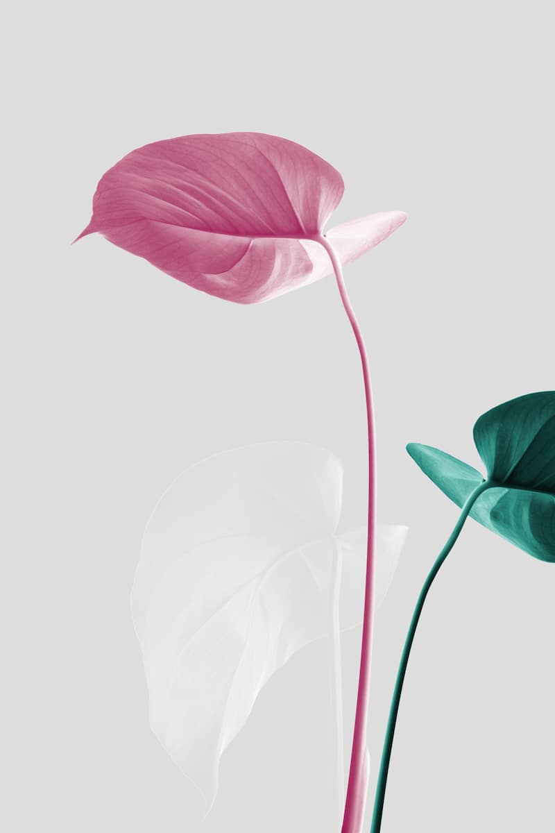 motive-image