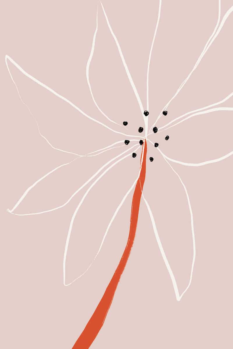 motive-image