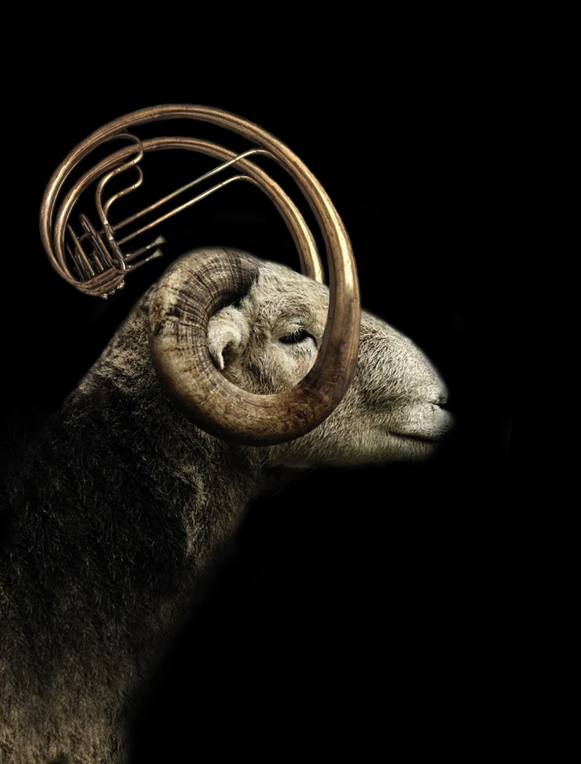 motive-image