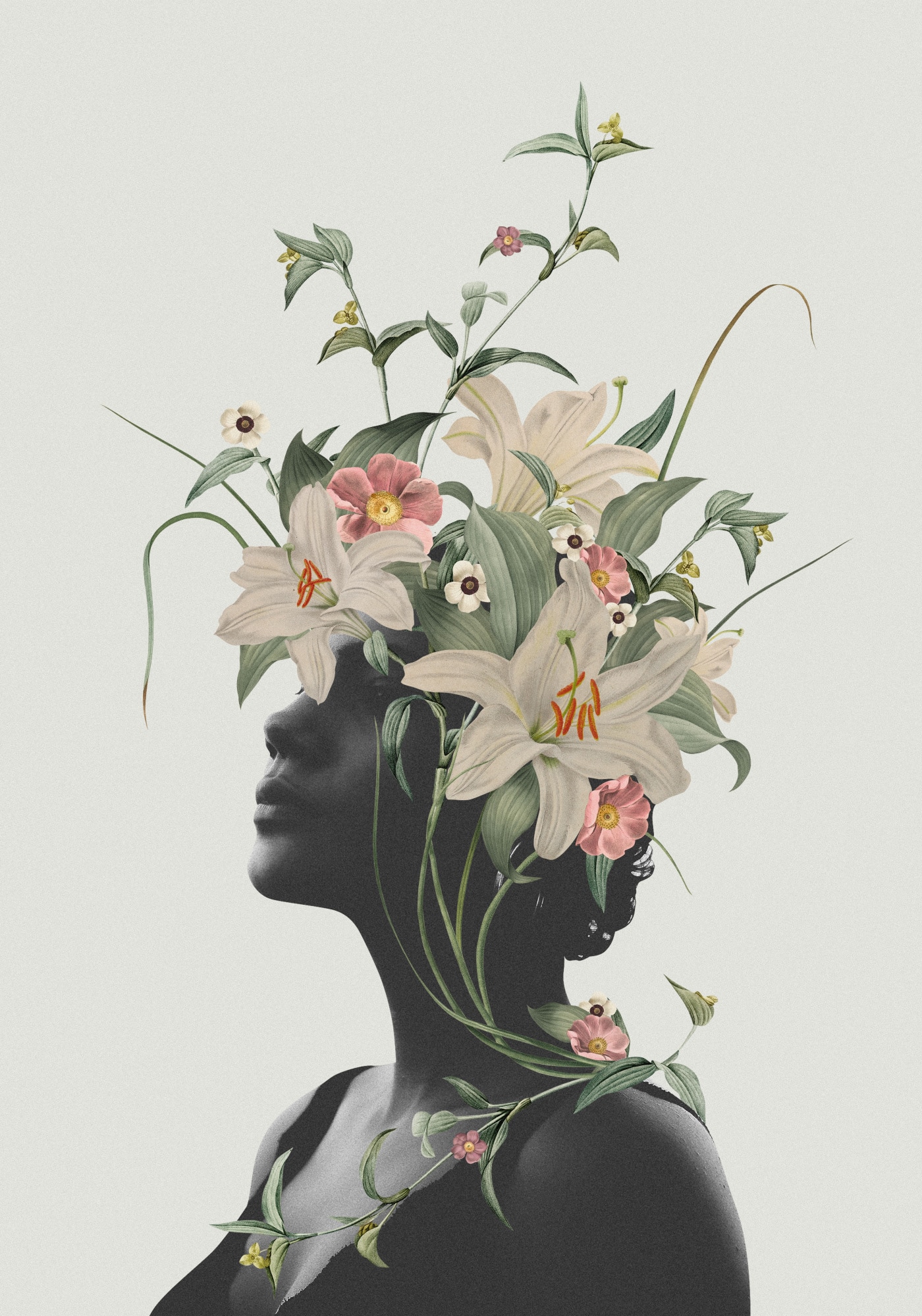 motive-image
