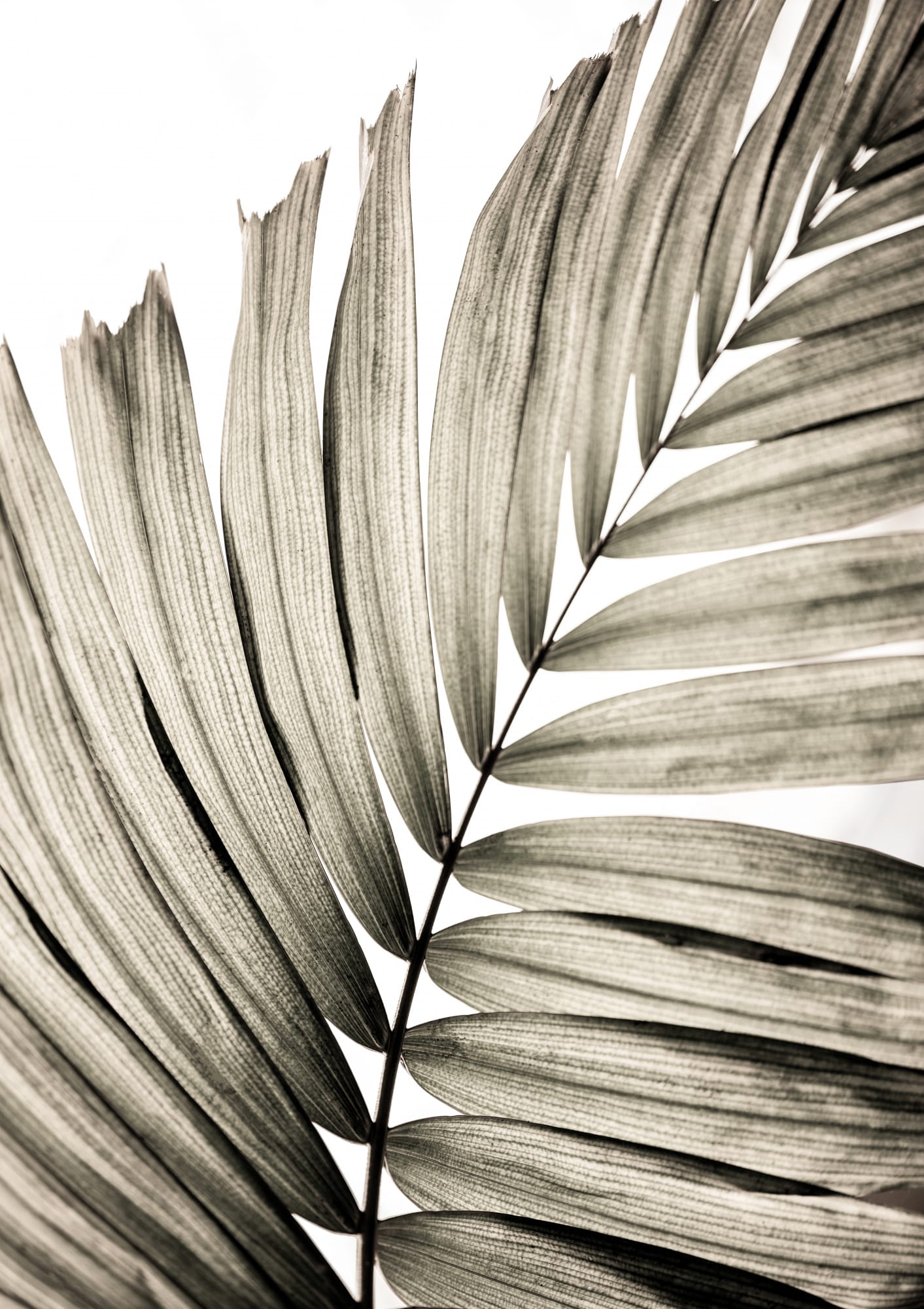 motive-image