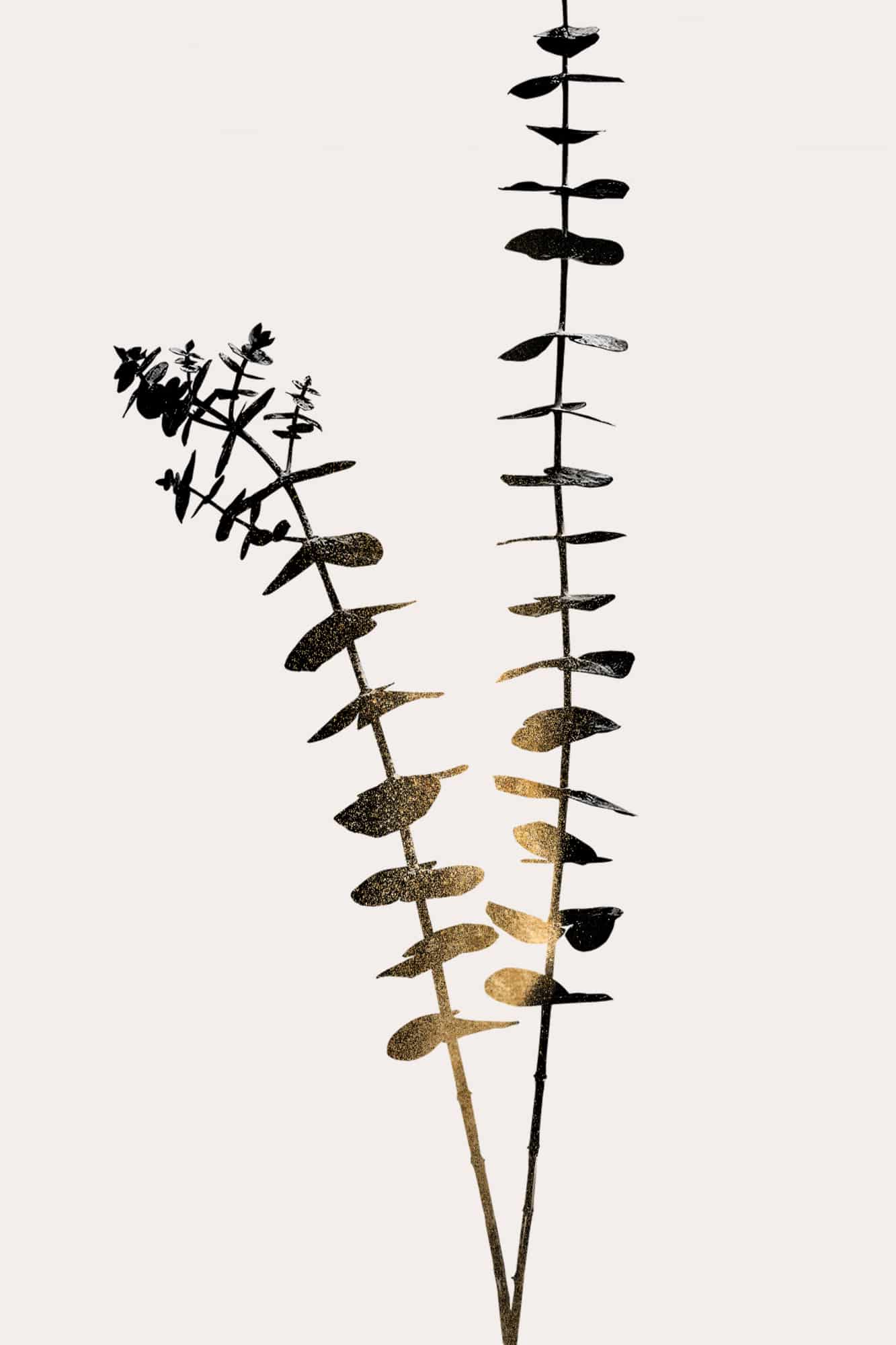 Motive Image