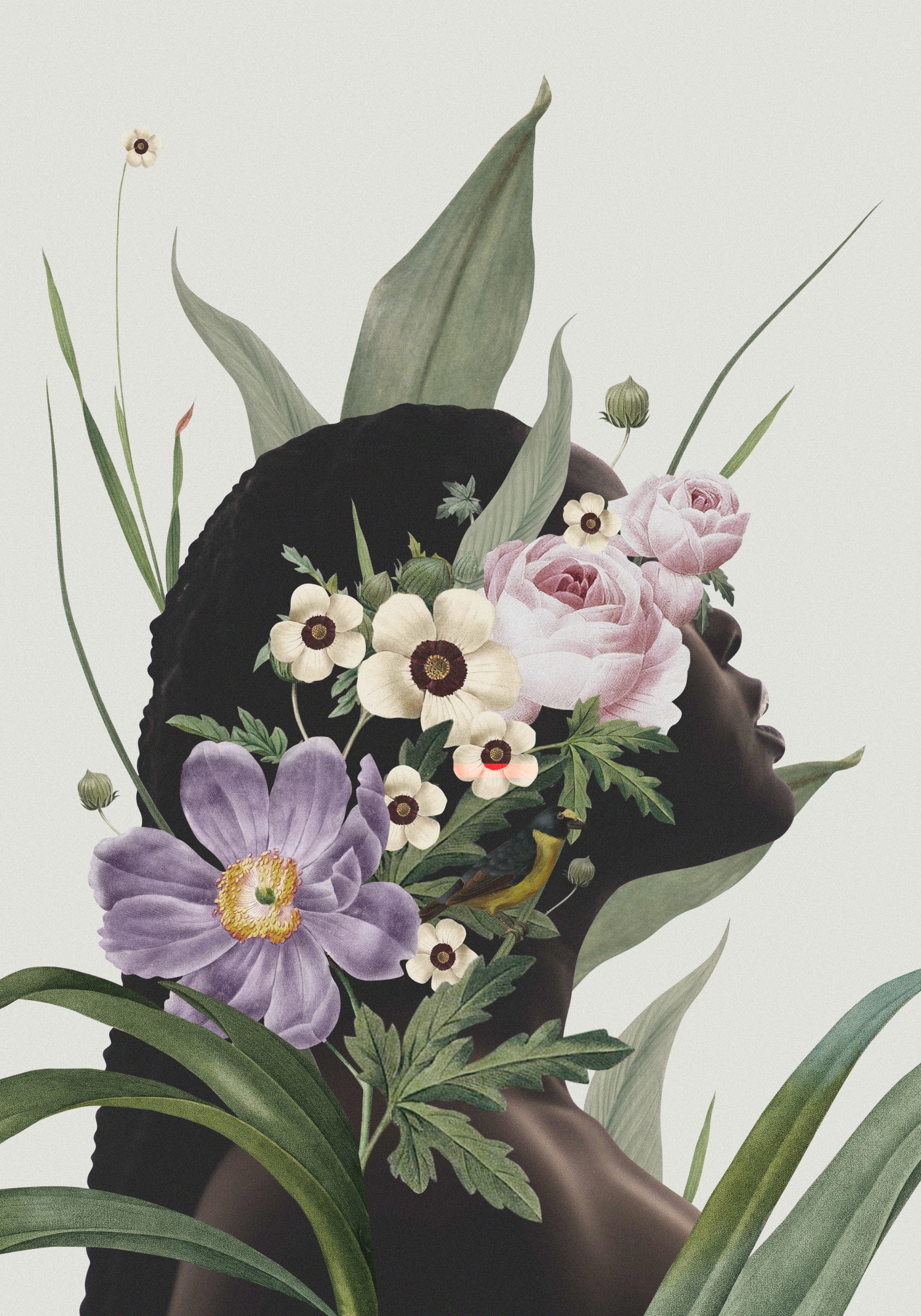 Motive Image