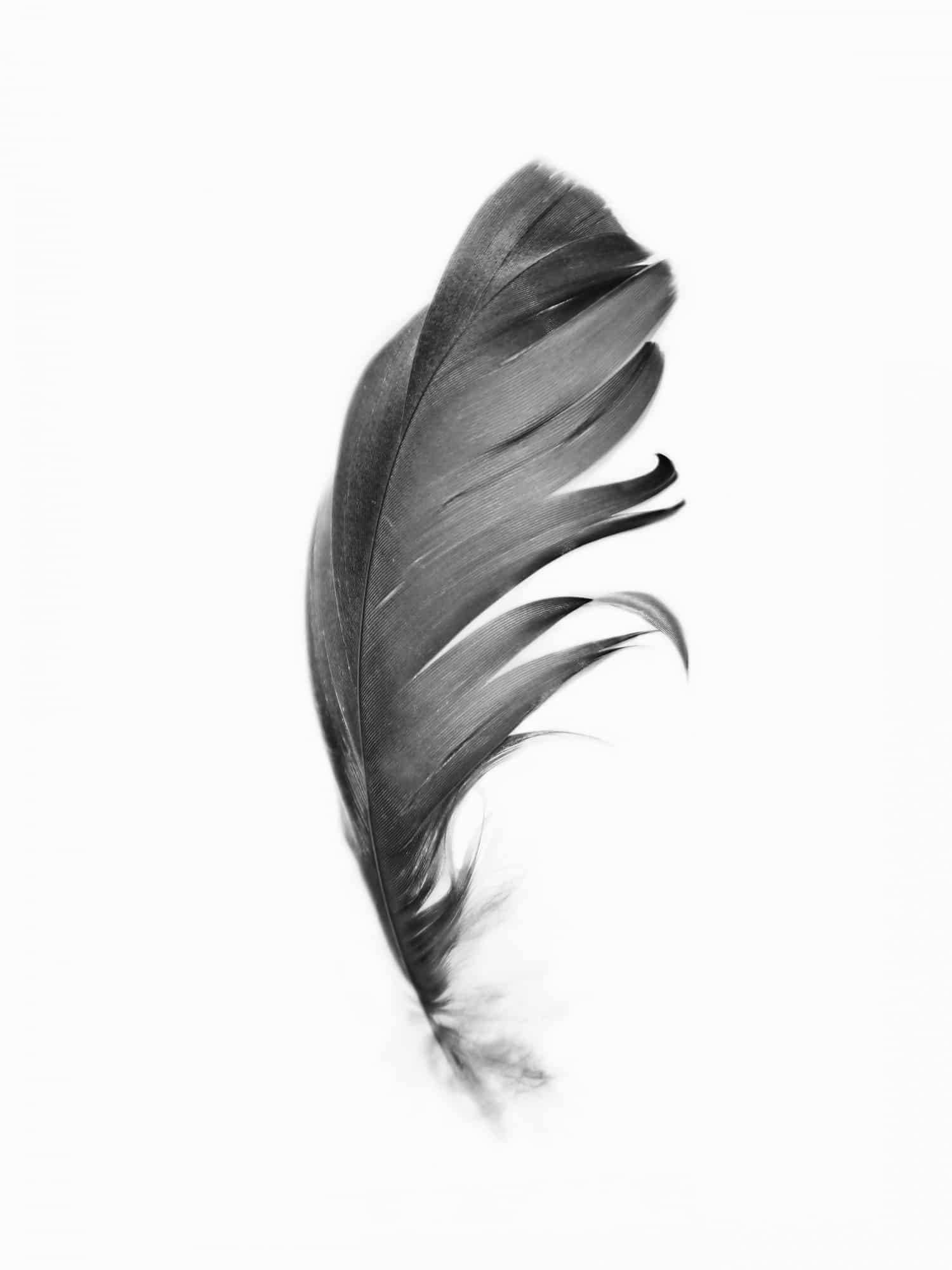 motive-image