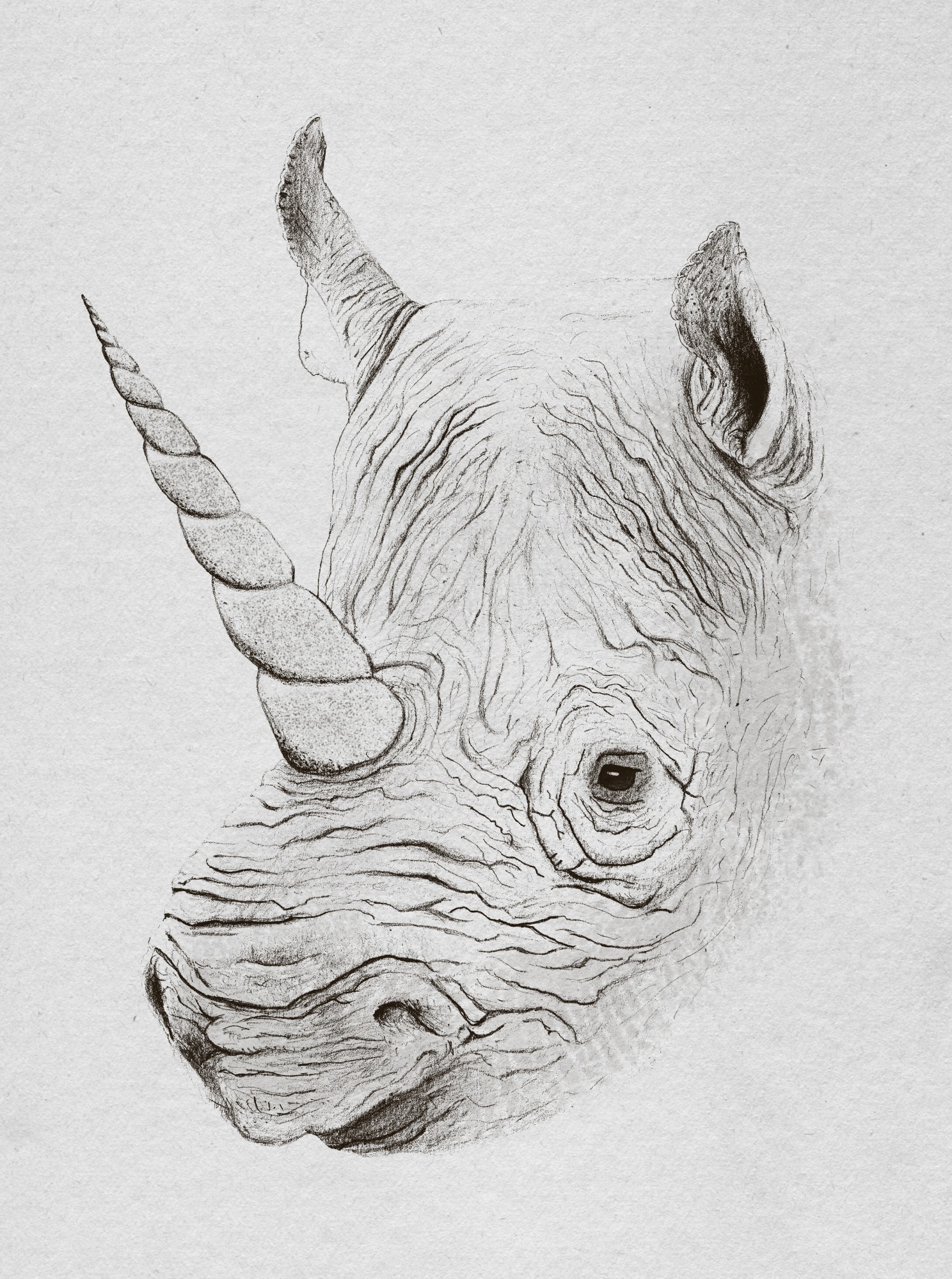 motive-image