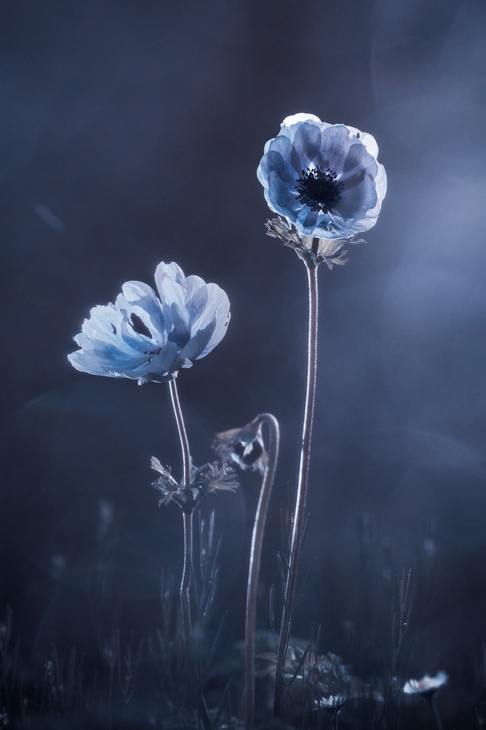 motive-image