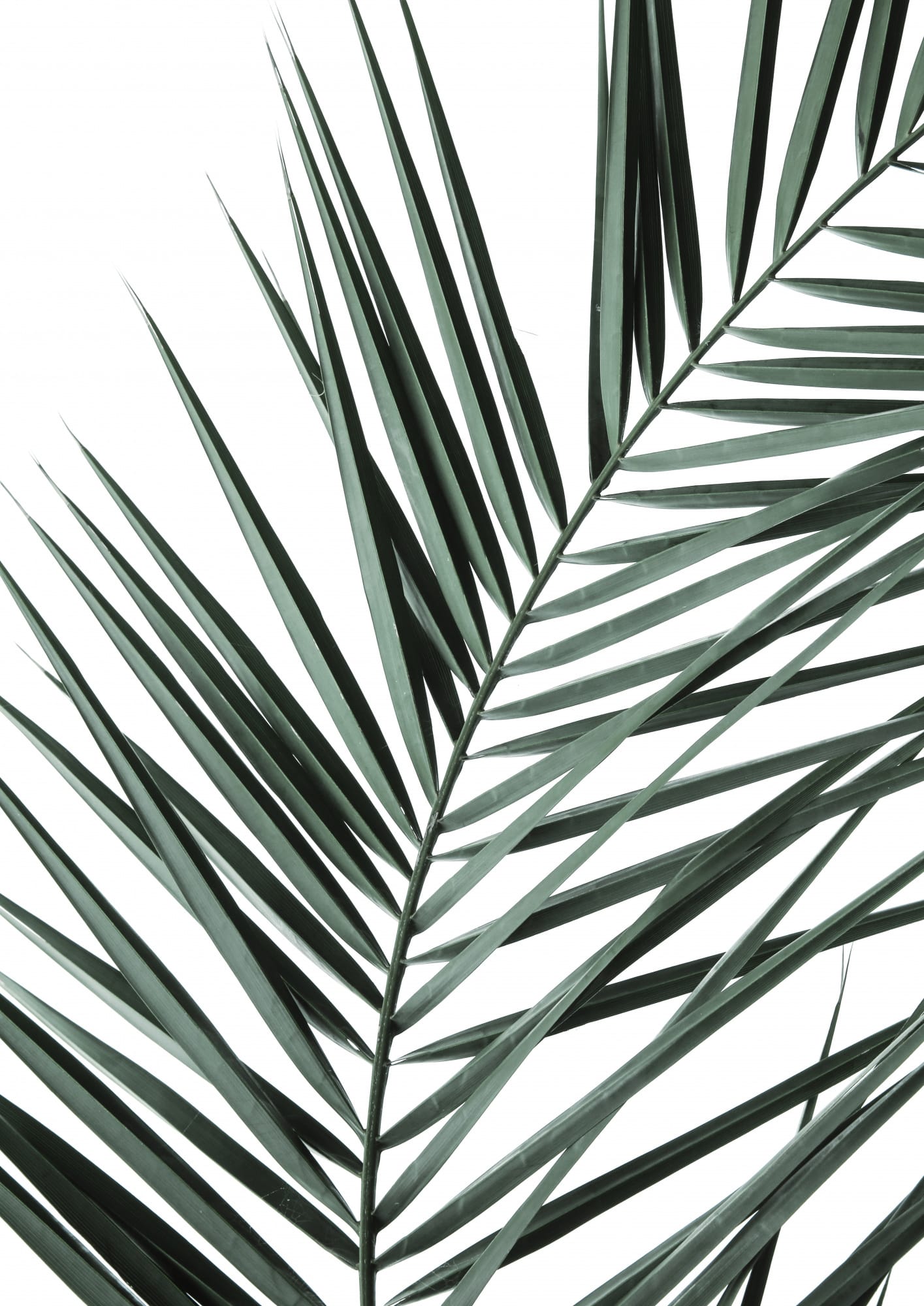 motive-image