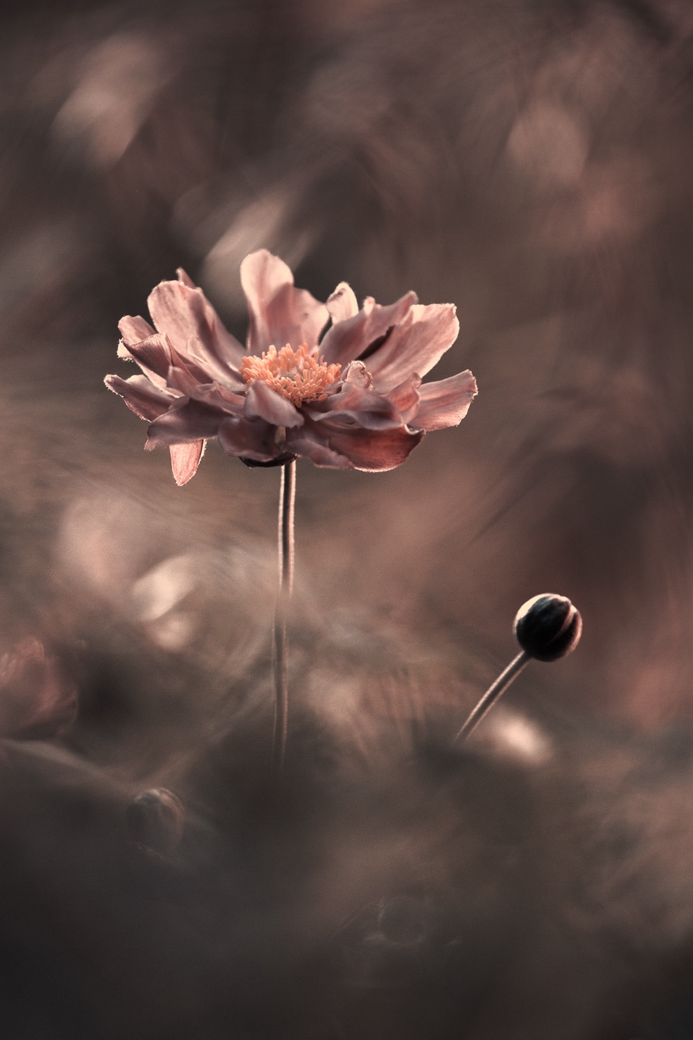 motive-image