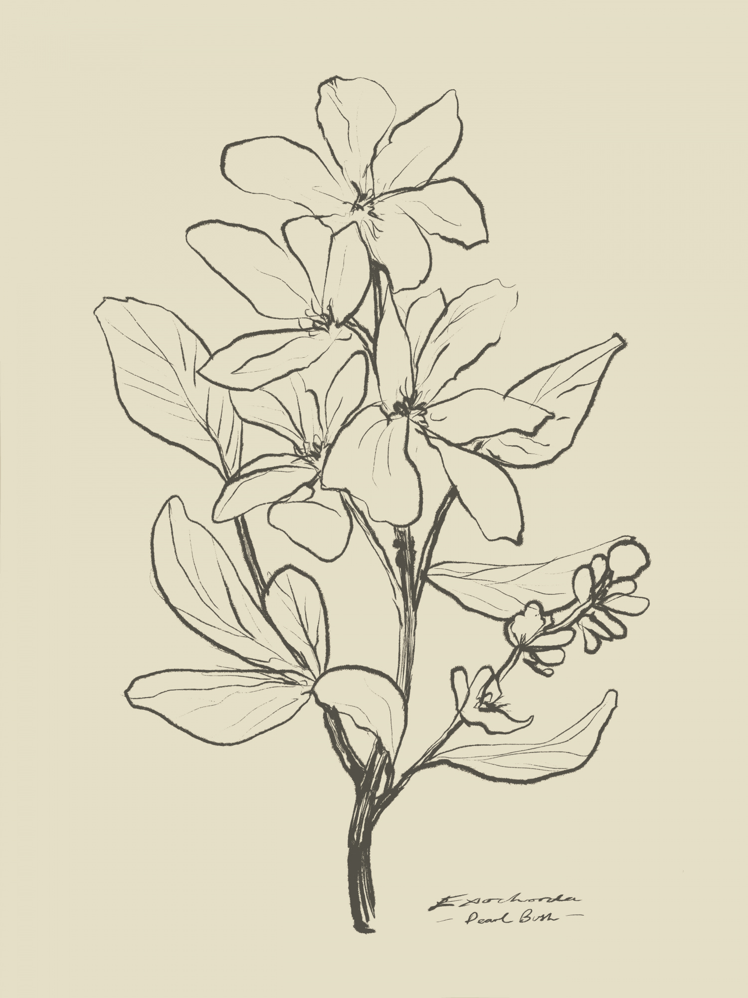 Motive Image