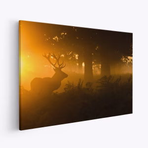 Canvas schilderi - Stag in the mist