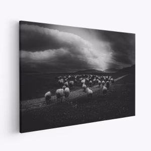 Canvas schilderi - Storm's Advance