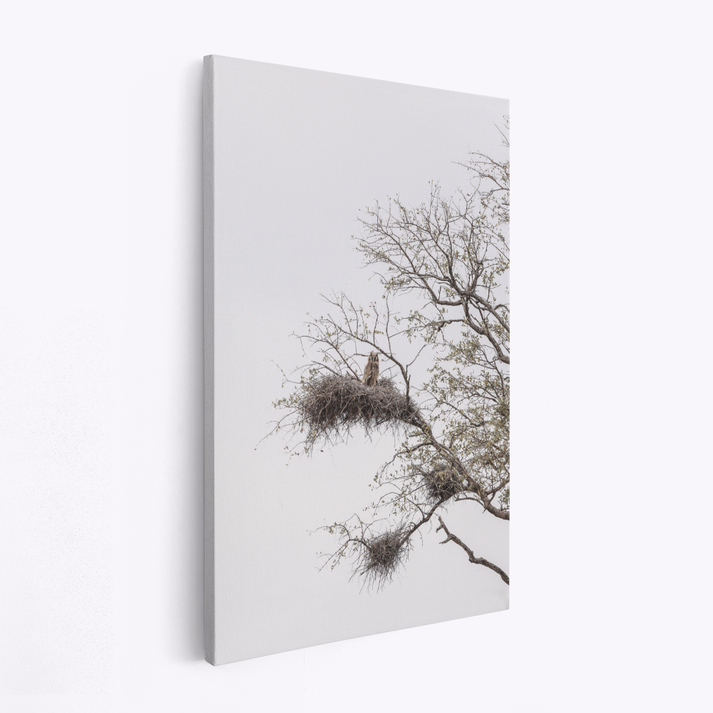 Canvas schilderi - Look