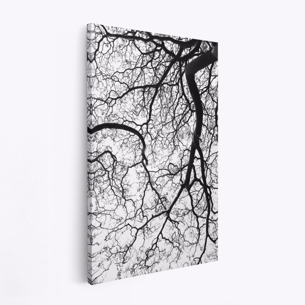 Canvas schilderi - Durban Forest