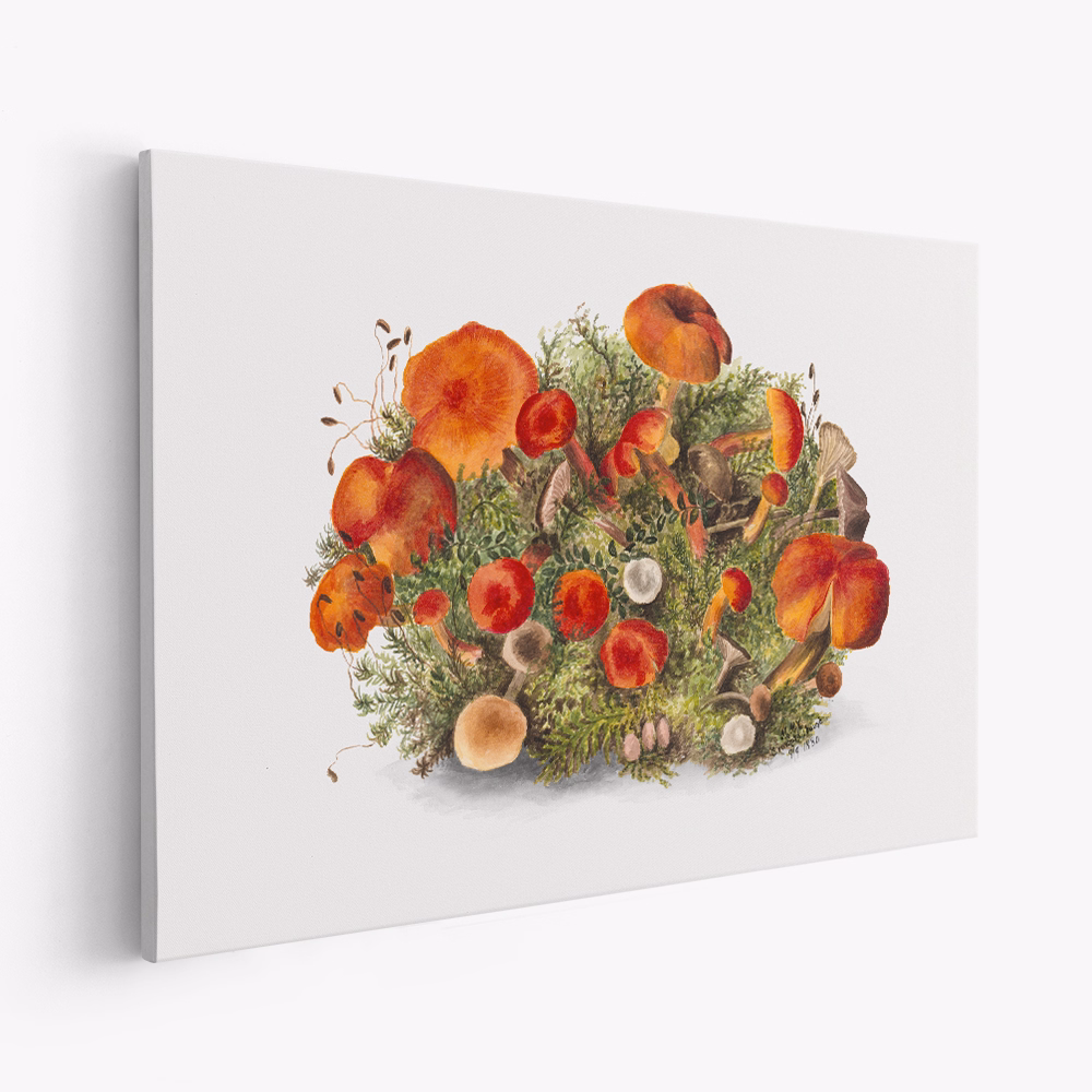 Canvas schilderij - Study of Mushrooms (1880) Horizontal