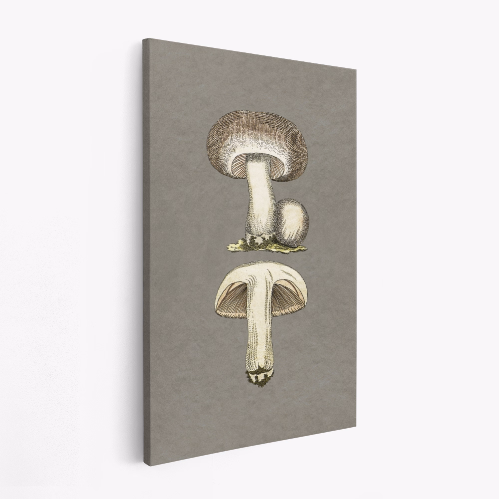 Canvas schilderij - Field Mushroom