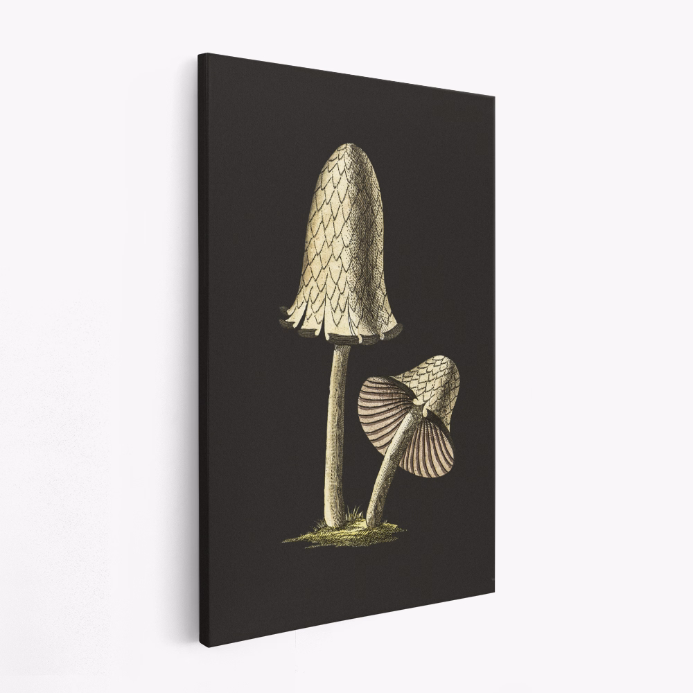Canvas schilderij - Vintage Inky Cap Edible Mushroom Black Background