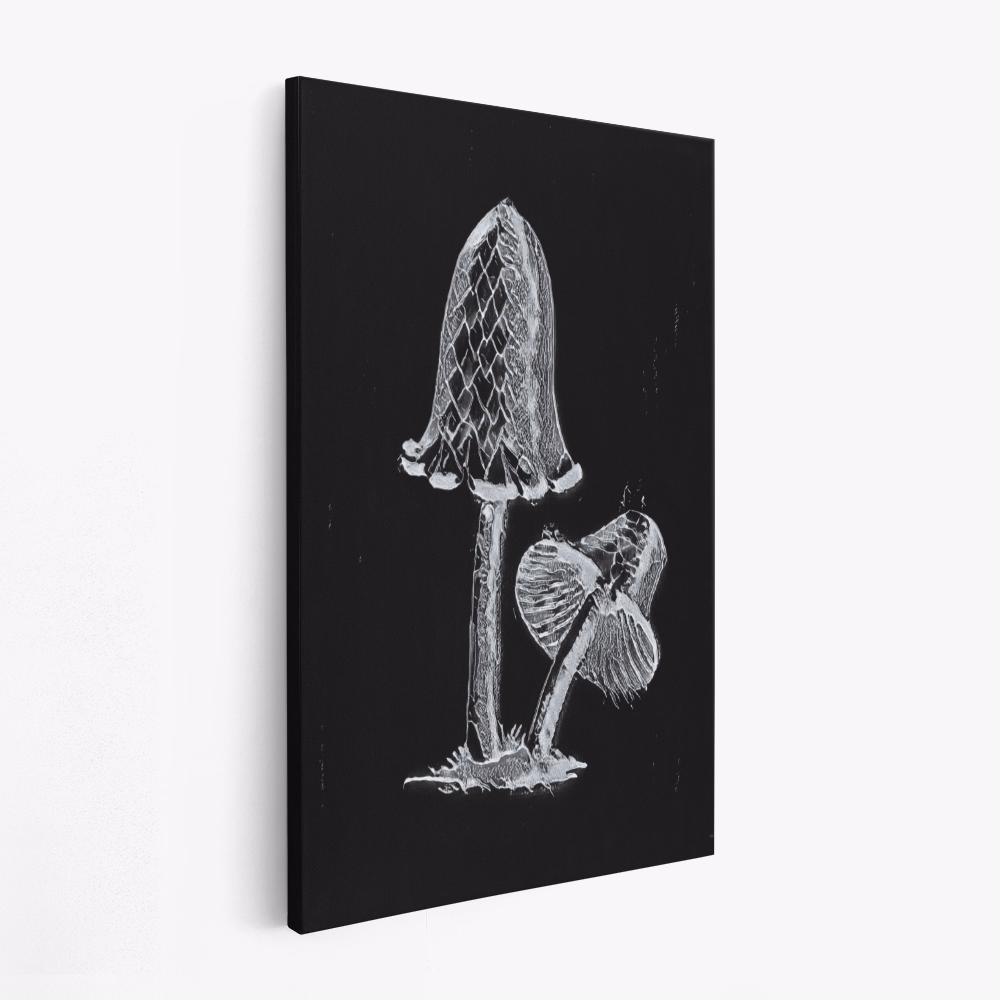 Canvas schilderij - Vintage Inky Cap Edible Mushroom Dark BW
