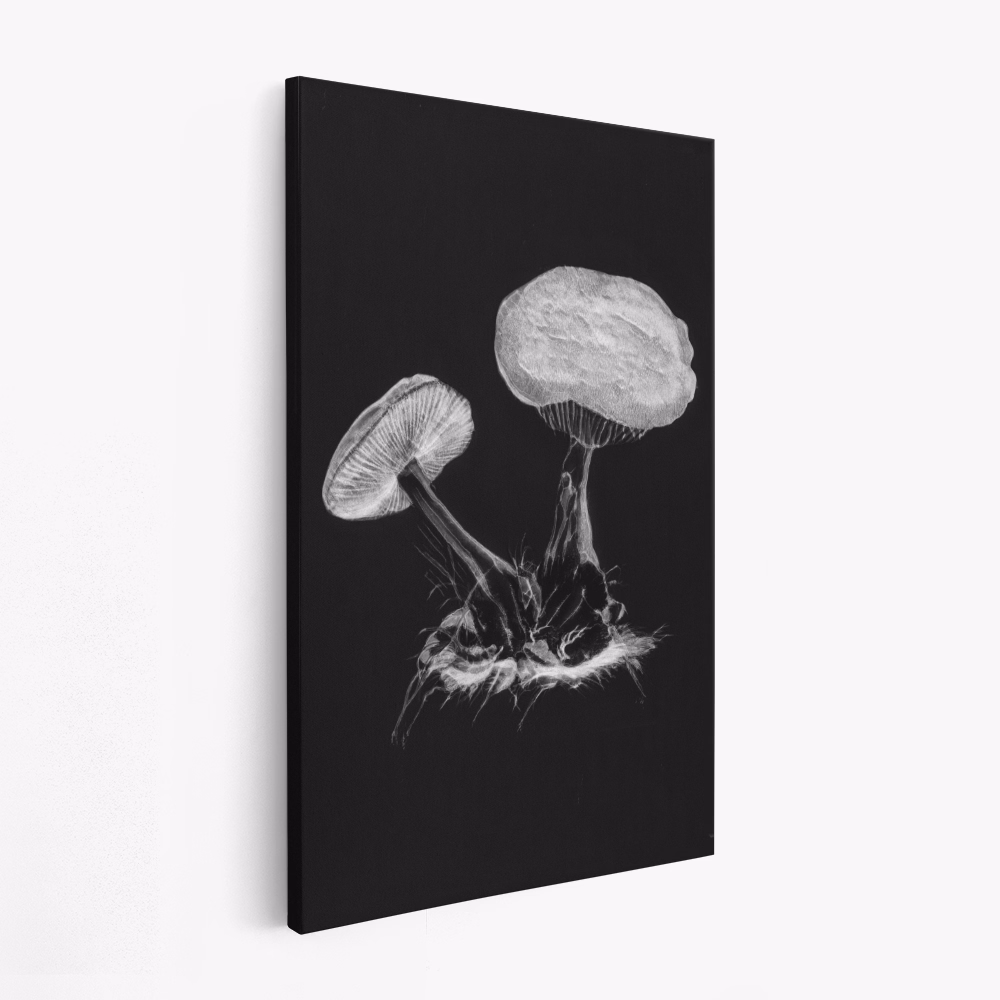 Canvas schilderij - Vintage Violet Webcap Mushroom Dark BW