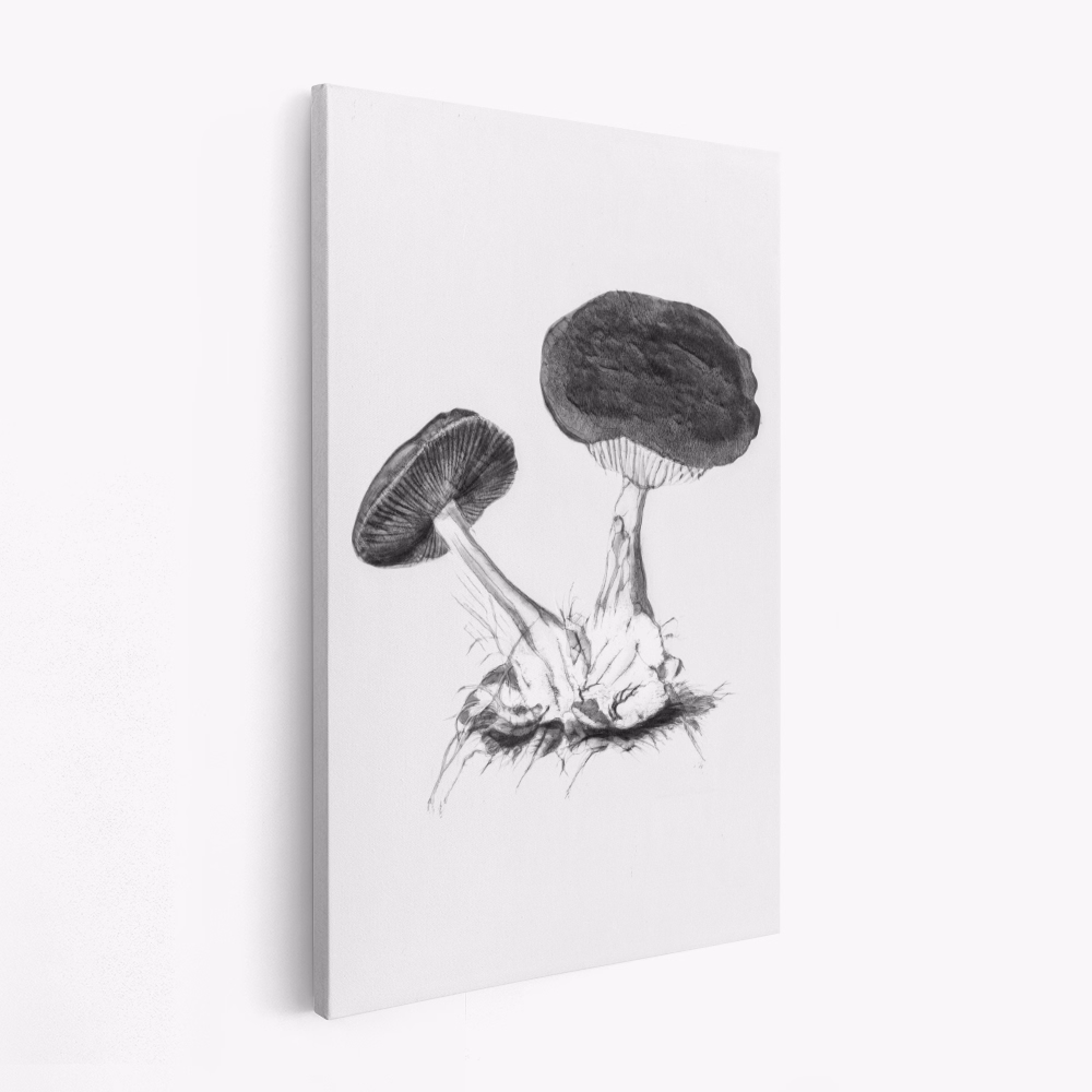 Canvas schilderij - Vintage Violet Webcap Mushroom Bright BW