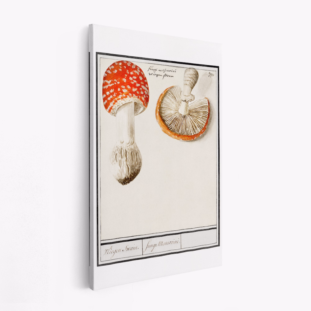 Canvas schilderij - Fly Agaric, Amanita Muscaria