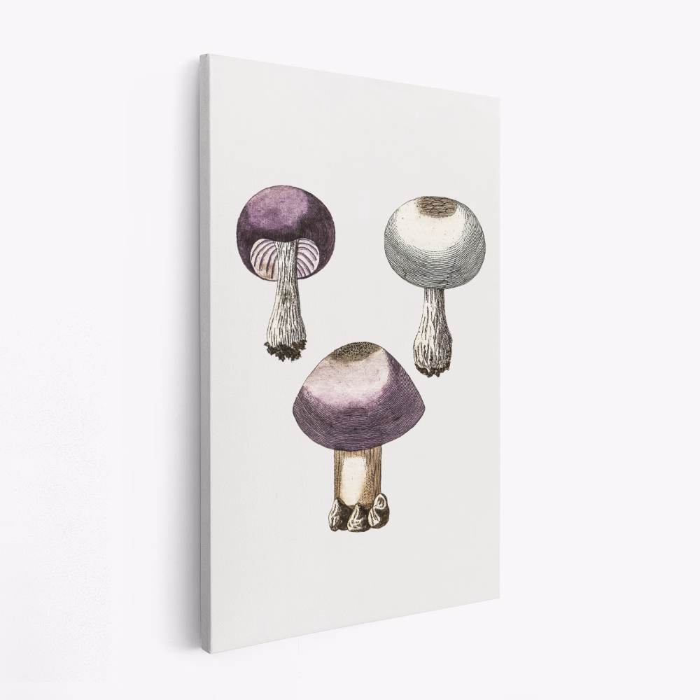 Canvas schilderij - Hand Darwn Violet Webcap Mushroom