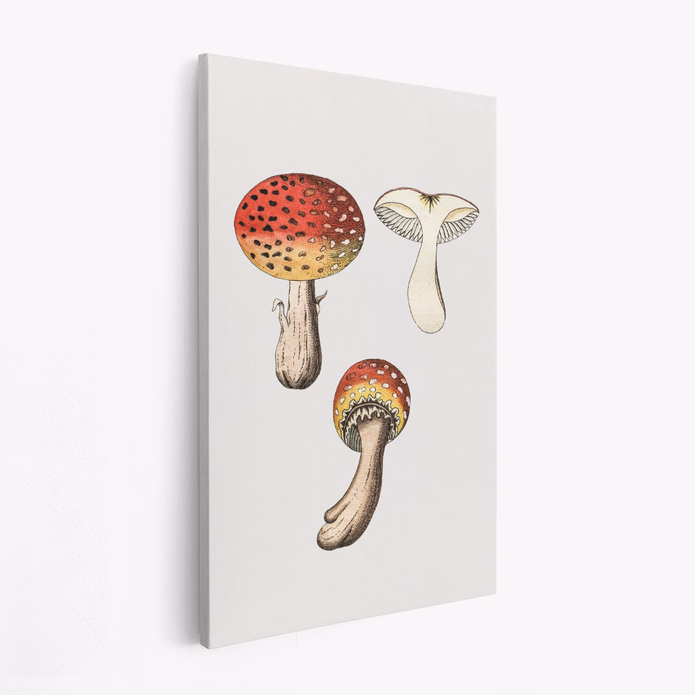 Canvas schilderij - Hand Drawn Fly Agaric Mushroom
