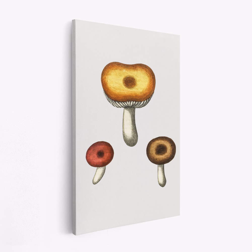 Canvas schilderij - Hand Drawn Galerina Mushroom