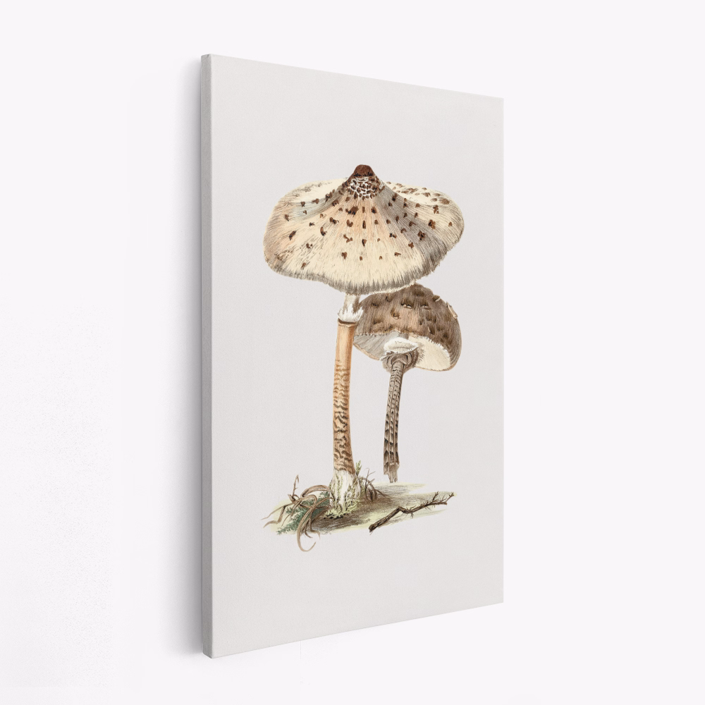 Canvas schilderij - Hand Drawn Parasol Mushroom