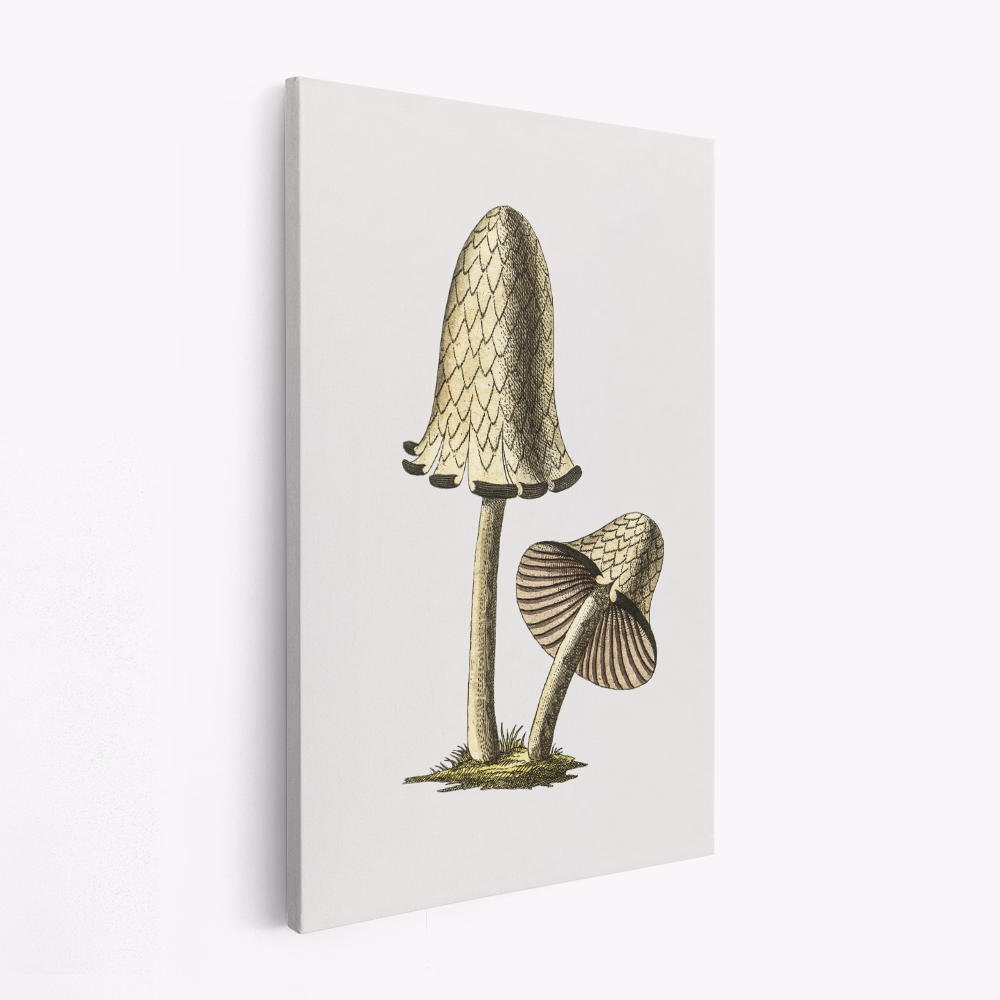 Canvas schilderij - Vintage Inky Cap Edible Mushroom