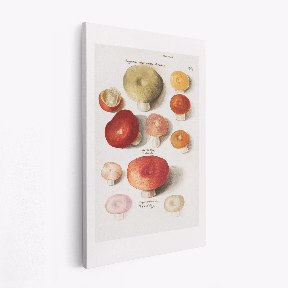 Canvas schilderij - Boleten, Boletales Standing